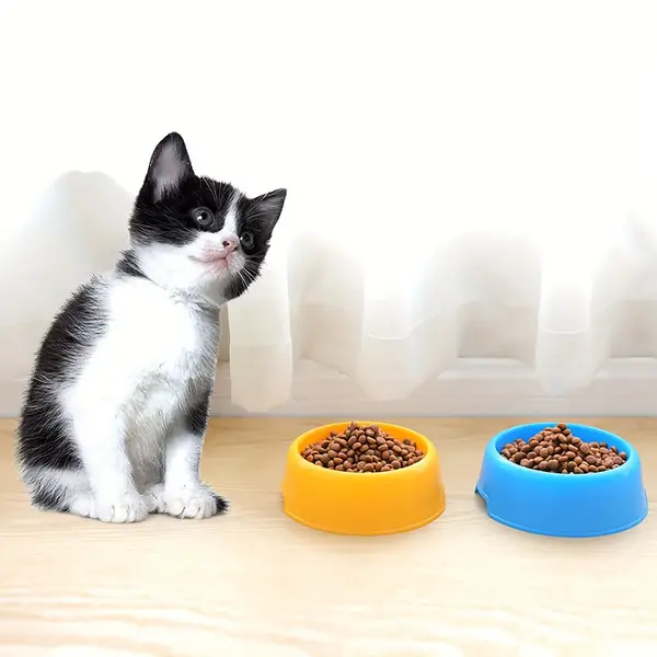 Candy-Colored Anti-Slip Durable Cat Bowl - Easy to Clean, Stylish Design, PP Material, Suitable for Cats and Small Pets (1 Pack)