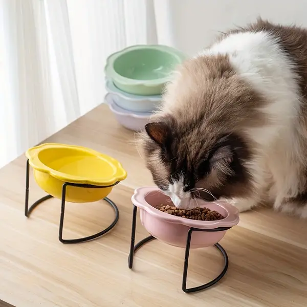 Elevated Ceramic Cat Bowl Set with Stand - Neck-Friendly Slanted Feeding Dishes for Cats, Pet Supplies